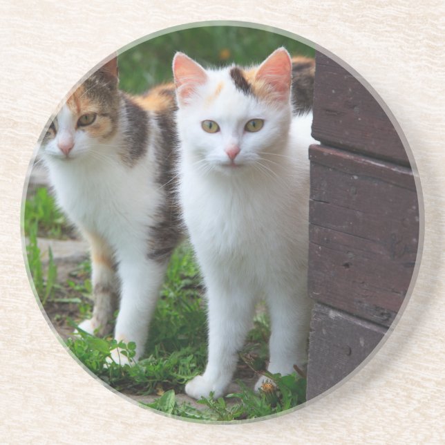 Porta-copos De Arenito Brincadeira (Frente)