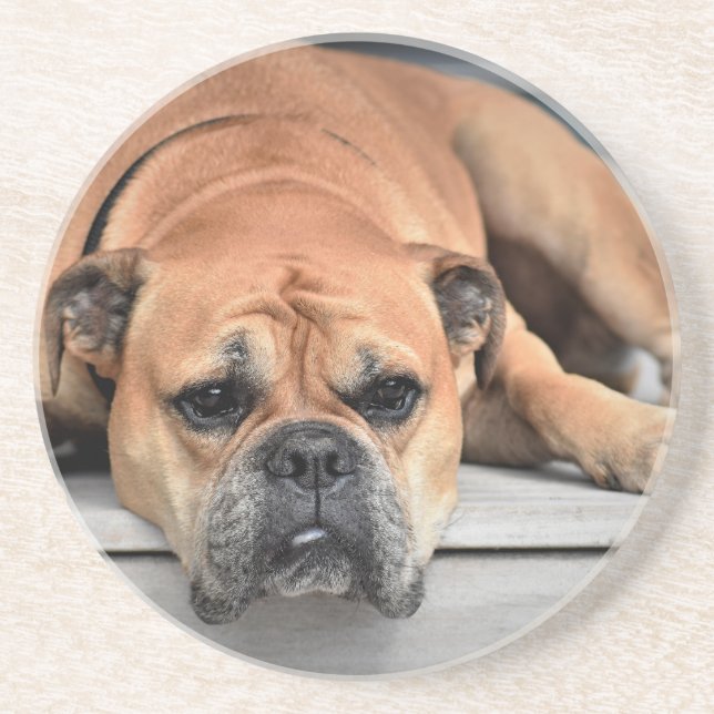 Porta-copos De Arenito Bull Dog (Frente)