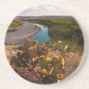 Porta-copos De Arenito Cacto Pêra Espinhosa (Opuntia Sp.)