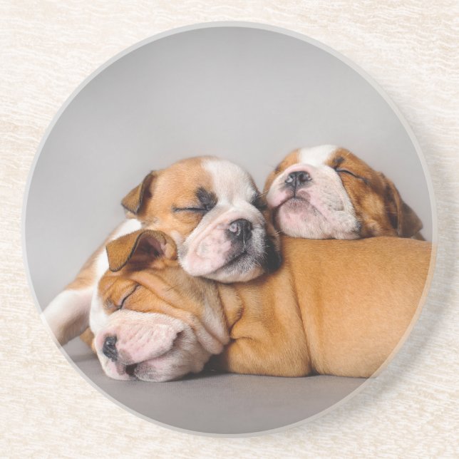 Porta-copos De Arenito Cãezinhos-buldogue com sono (Frente)