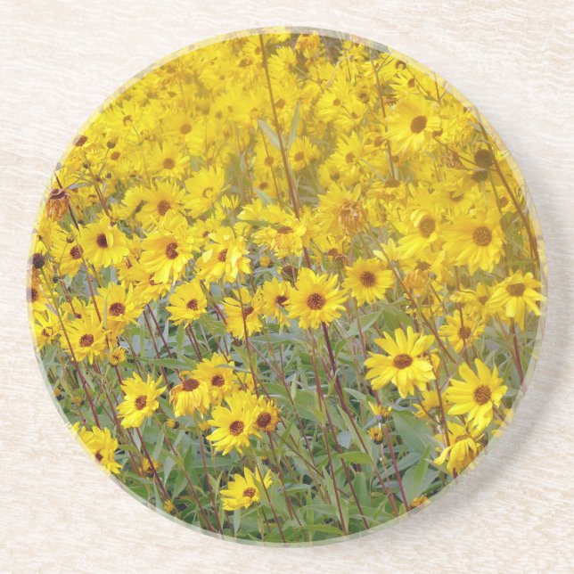 Porta-copos De Arenito Campo De Flores Amarelas Vibrantes (Frente)