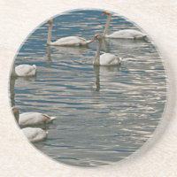 Canto do Cisne