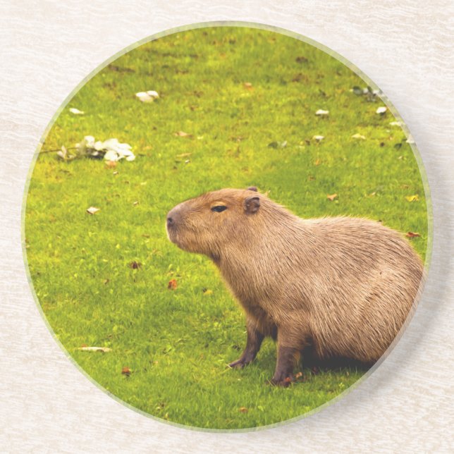 Porta-copos De Arenito Capivara (Frente)