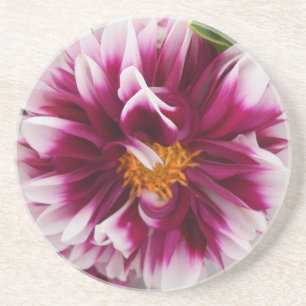 Porta-copos De Arenito Carteuserina