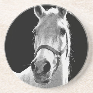Porta-copos De Arenito Cavalo Branco Negro Fechado na Noite
