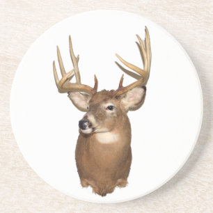 Porta-copos De Arenito Cervos de Whitetail