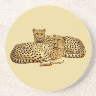 Porta-copos De Arenito Cheetahs