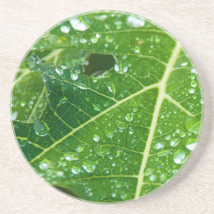 Porta-copos De Arenito Chuva cai na folha de Papaya Verde