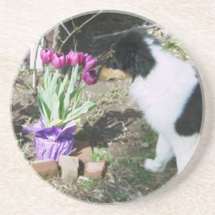 Porta-copos De Arenito Collie Pup Cheira as flores