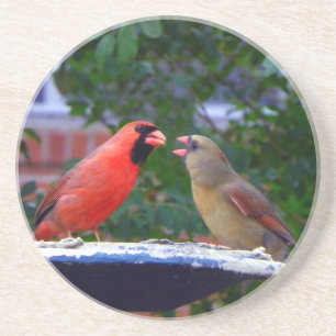 Porta-copos De Arenito Comer cardinal do casal