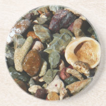 Conchas, Rochas e Fotografia da Natureza do Coral