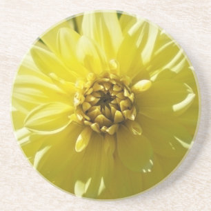 Porta-copos De Arenito Copo Dahlia Amarela