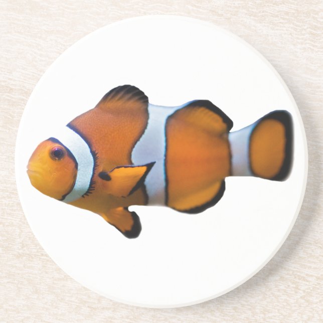 Porta-copos De Arenito Copo de Peixe-Palhaço (Frente)