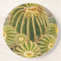 Copo para Cacto