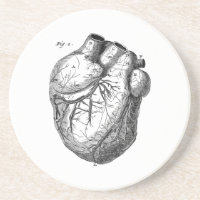 Corações cardíacos retros da anatomia do coração