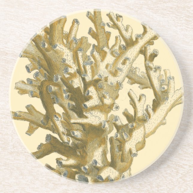 Porta-copos De Arenito Coral pelo mar (Frente)