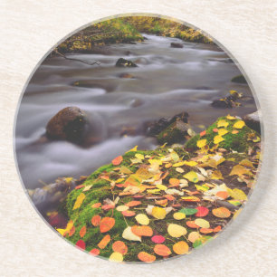 Porta-copos De Arenito Cores de Outono ao longo do McGee Creek