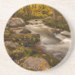Porta-copos De Arenito Cores de outono no Crestone Creek
