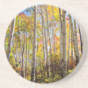 Porta-copos De Arenito Cores de queda das árvores de Aspen 5