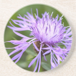 Porta-copos De Arenito Cornflower Roxo