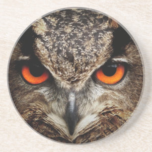 Porta-copos De Arenito Coruja