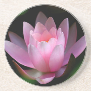 Porta-copos De Arenito coster da flor