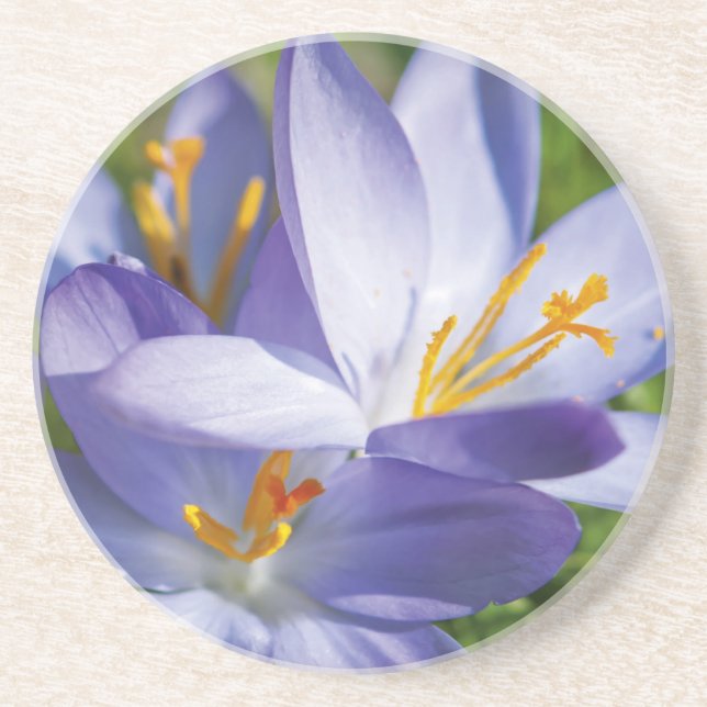 Porta-copos De Arenito Crocus (Frente)