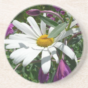 Porta-copos De Arenito Daisy e Fireweed
