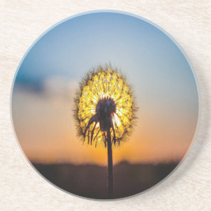 Porta-copos De Arenito Dandelion no nascer do sol