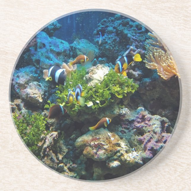 Porta copos de arenito de Coral Reef (Frente)