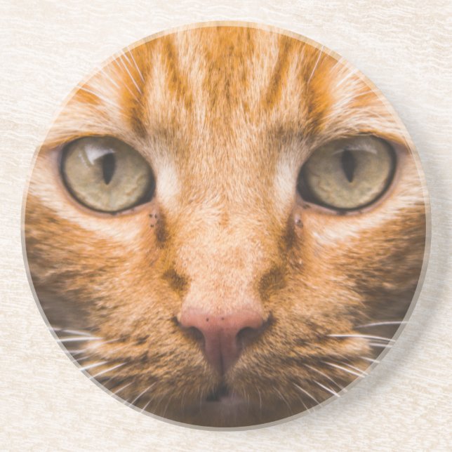 Porta copos de arenito de Gato (Frente)