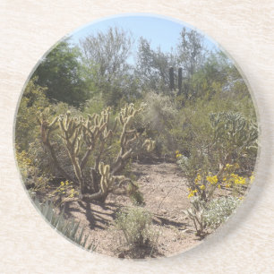 Porta-copos De Arenito Deserto