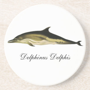 Porta-copos De Arenito Dolphin Delphinus Delphis, Vintage Mamíferos Marin