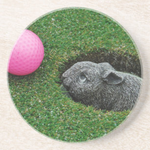 PORTA-COPOS DE ARENITO DSCF0652.JPG