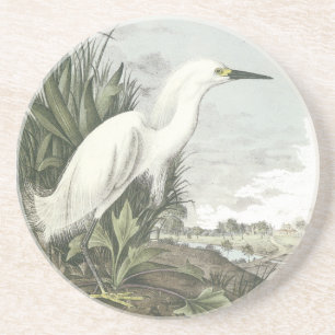 Porta-copos De Arenito Egret nevado, John Audubon