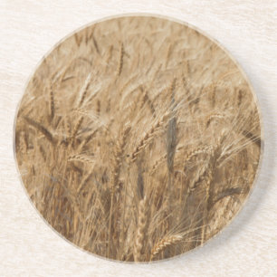 Porta-copos De Arenito Erick, rota 66 de Oklahoma