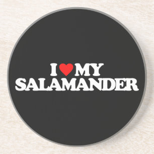 PORTA-COPOS DE ARENITO EU AMO MINHA SALAMANDRA