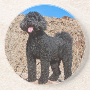 Porta-copos De Arenito EUA, Califórnia. Labradoodle em pé