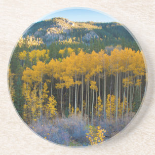 Porta-copos De Arenito EUA, Colorado. Álamo Amarelo Brilhante nas Montanh