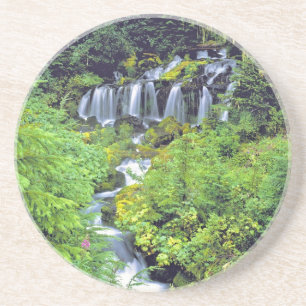 Porta-copos De Arenito EUA, Estado de Washington, Mt Adams Wilderness. G