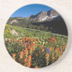 Porta-copos De Arenito EUA, Utah, Floresta Nacional Uinta-Wasatch-Cache