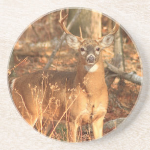Porta-copos De Arenito Fanfarrão dos cervos de Whitetail