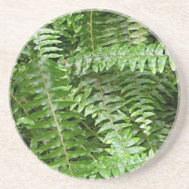Porta-copos De Arenito Fern Frontes I Green Nature (Frente)