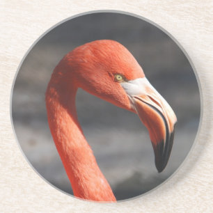 Porta-copos De Arenito Flamingo