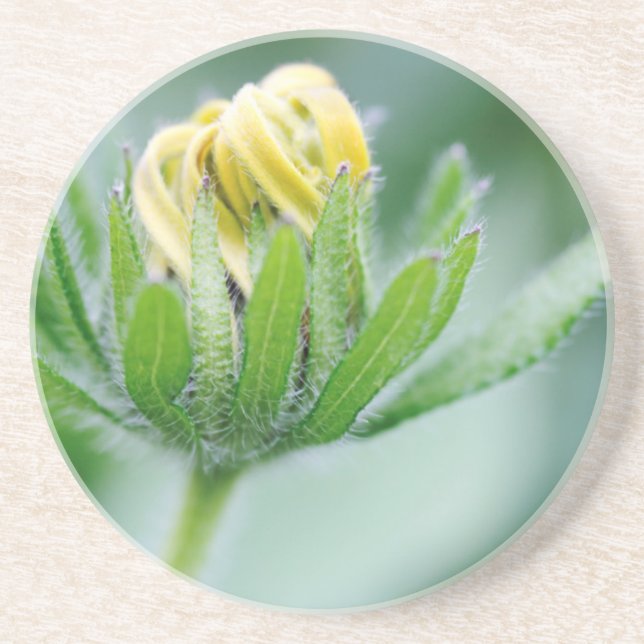 Porta-copos De Arenito Flor de Cone Aberta (Frente)