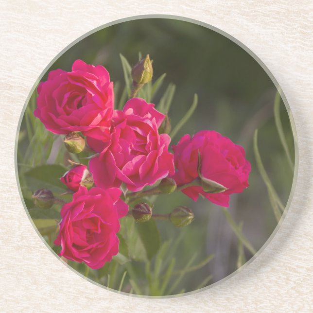 Porta-copos De Arenito Flor rosa (Frente)