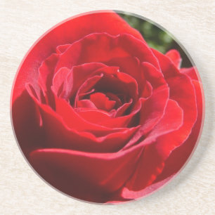 Porta-copos De Arenito Flor Rosa vermelha brilhante Flor