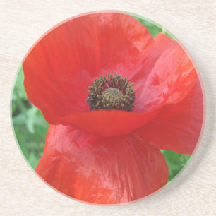 Porta-copos De Arenito Flor Vermelho Poppy