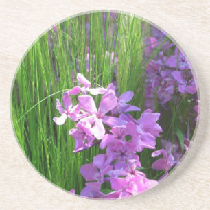 Porta-copos De Arenito Floral de Verão de Flox e Grama Rosa