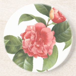 Porta-copos De Arenito Floral Vintage, Flores de Camélia Rosa por Redoute